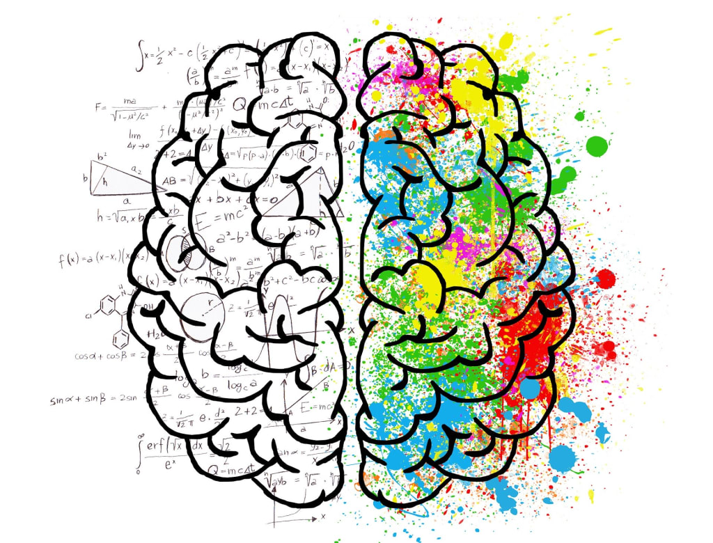 B.Sc in Psychology